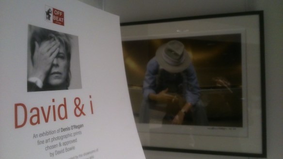 davidandi brochure 1